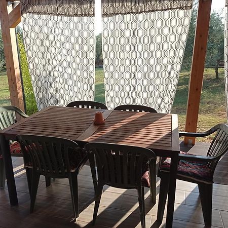 Nature Home Eco-Friendly Pet-Friendly Fažana Екстериор снимка